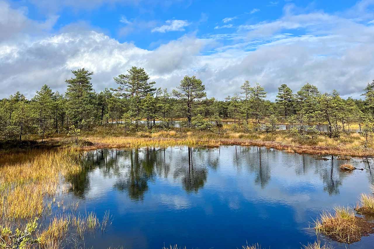 evenement-mice-tallinn-tourbieres-ohmycom